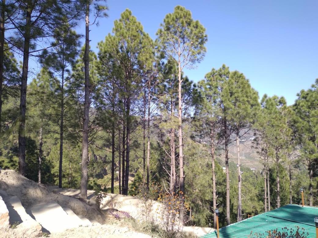 Nature Villaas Basa Homestay Pauri Buitenkant foto