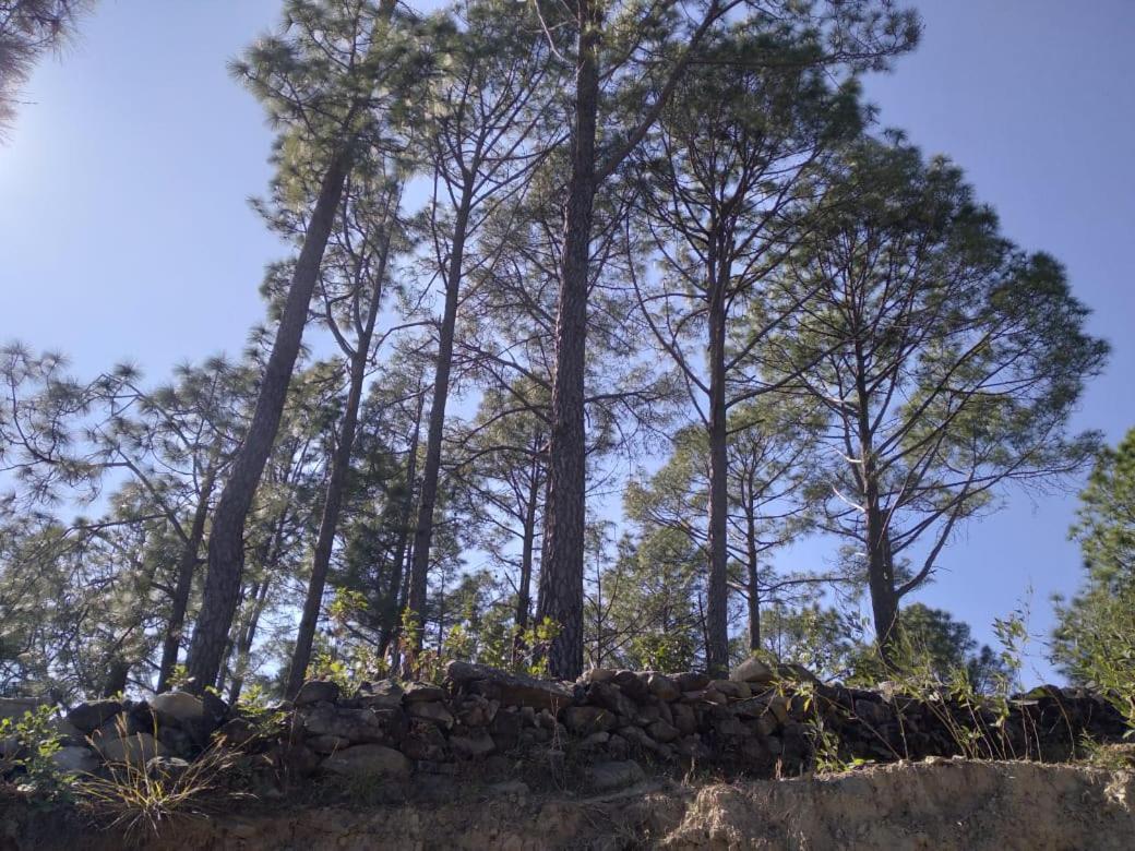 Nature Villaas Basa Homestay Pauri Buitenkant foto